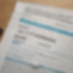 Comparison of TurboTax and CPA services