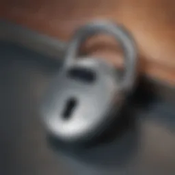 A digital lock symbolizing identity protection